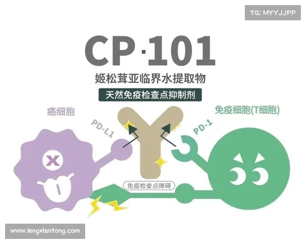 辐射治疗肺癌:新希望研究与应用 辐射治疗肺癌:新希望研究与应用